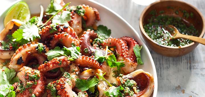 Asian Octopus