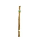 Brunnings 1200mm Bamboo Garden Stakes - 20 Pack