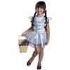 Wizard Of Oz Dorothy Tutu Girls Dress Up Party/Halloween Costume Size Toddler