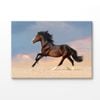 Running Horse on Desert With Dust Print 100% Australian Made 90x60cm (Stretched Canvas)