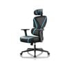 Eureka GC06 NORN Series Ergonomic Chair -Black/Blue