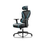 Eureka GC06 NORN Series Ergonomic Chair -Black/Blue