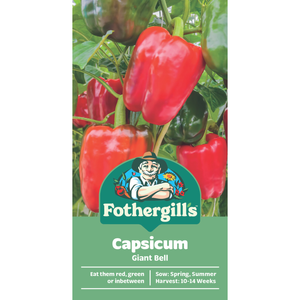 Fothergill's Giant Bell Capsicum Vegetable Seeds