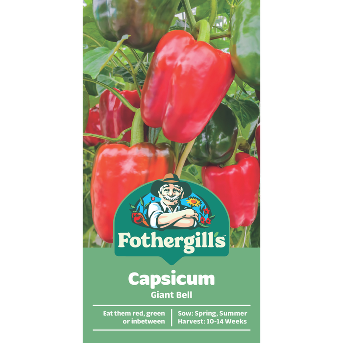Fothergill's Giant Bell Capsicum Vegetable Seeds