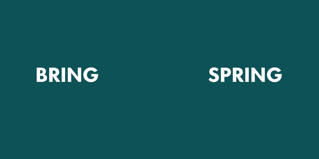 GIF with daisy blooming out 