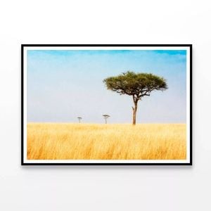 Trees in Grasslands of Kenya   Print 100% Australian Made 90x60cm  (Poster)