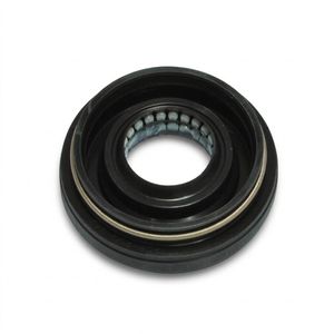 Simpson Washing Machine Lip Seal Main 85802082000420