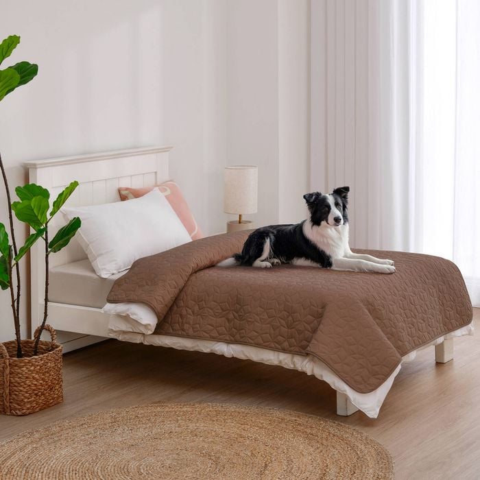 Charlie's Sofur Waterproof Dog Bed Cover Protector Single/king Single 132x208cm Espresso