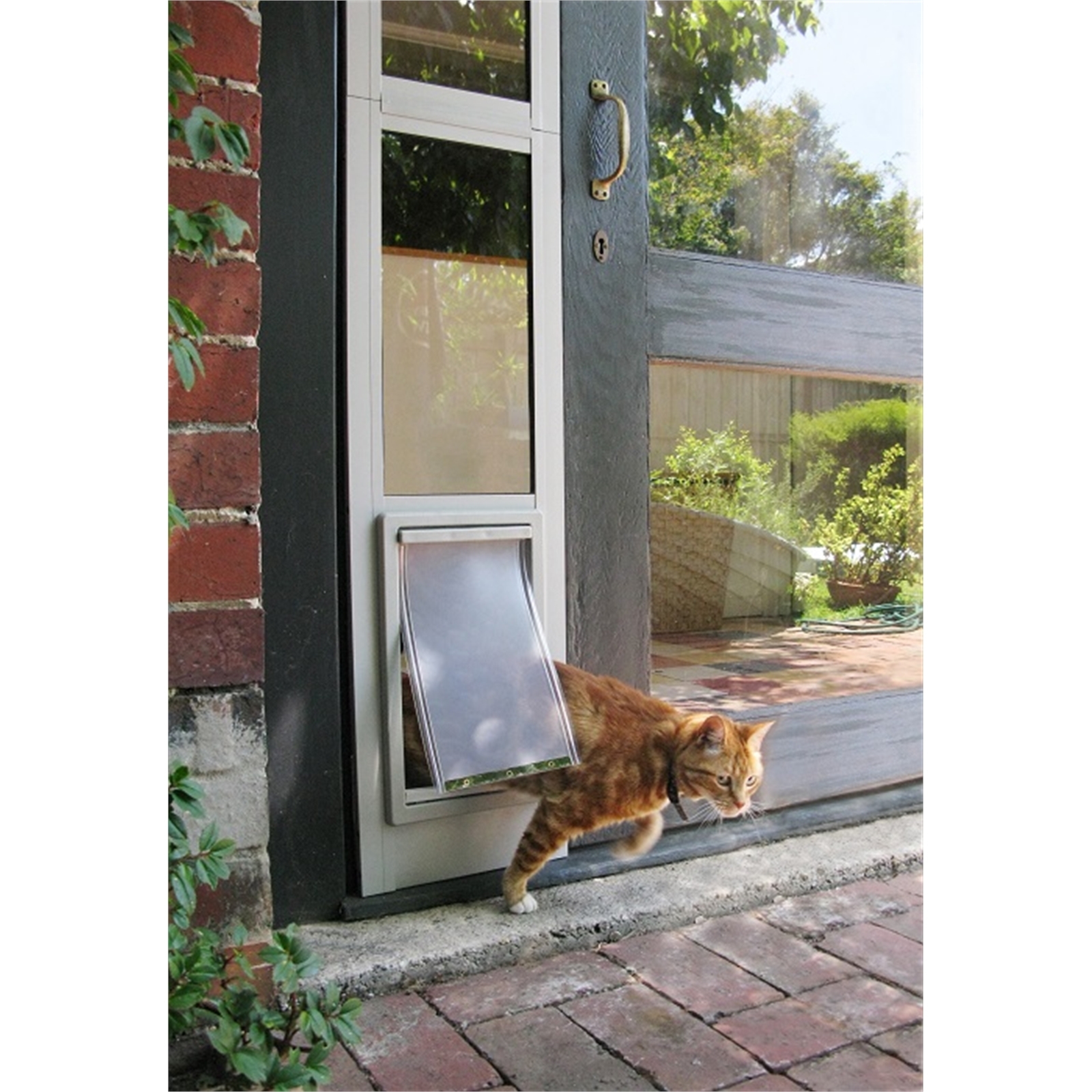 Dog door for sliding door australia best sale