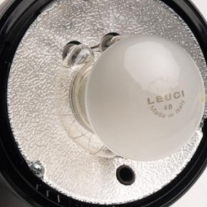 Leuci EL Lamp 196V/100W