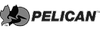 Pelican
