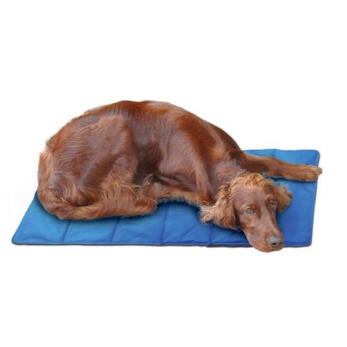 Spatastic Pet Cooling Mat Jumbo 90 x 60cm Blue Bunnings Australia