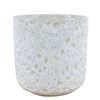 Northcote Pottery 15.5 x 16cm Aries Egg White Ceramic Indoor Pot