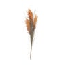 90cm Sorghum Dried Artificial Dried Flower