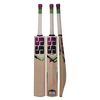 SS Josh Kashmir Willow Cricket Bat, Size 5