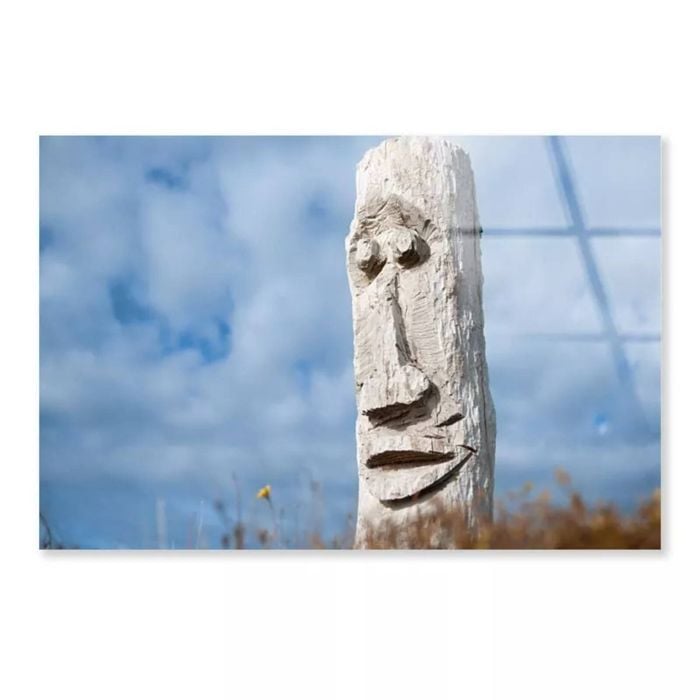 Driftwood New Zealand  Print 100% Australian Made 50 x 40cm  (Acrylic)