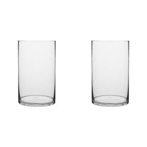 2PK Ecology Fleur Wide Cylinder Glass Vase Decorative Flower Vessel 25cm