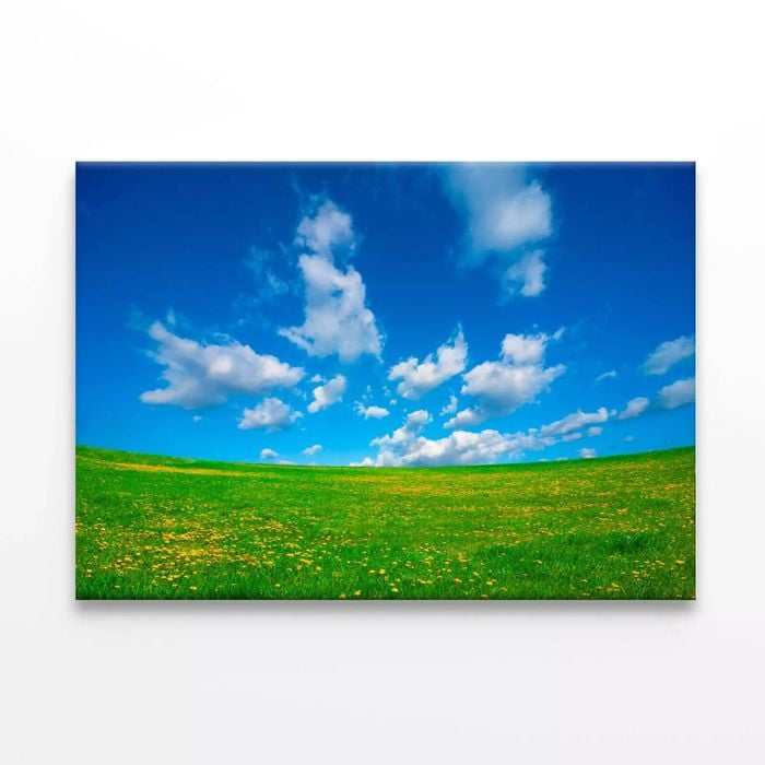 Grassland and Blue Sky  Print 100% Australian Made 120 x 90cm  (Stretched)