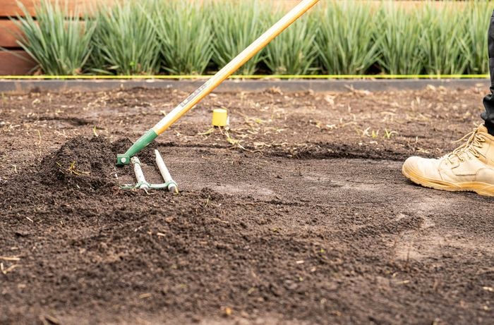 A person is using a rake to level and smooth soil in a prepared garden