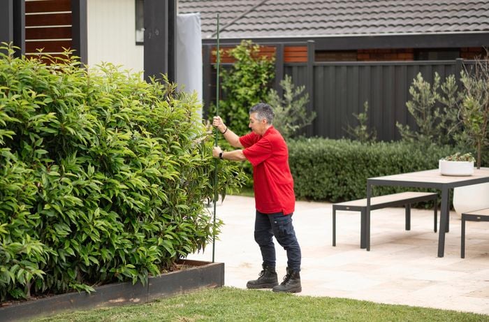 Place the garden stakes into the ground 