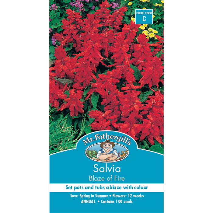 Mr Fothergill's Blaze Of Fire Salvia Flower Seeds