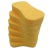 All Set 6 Pack Jumbo Sponges
