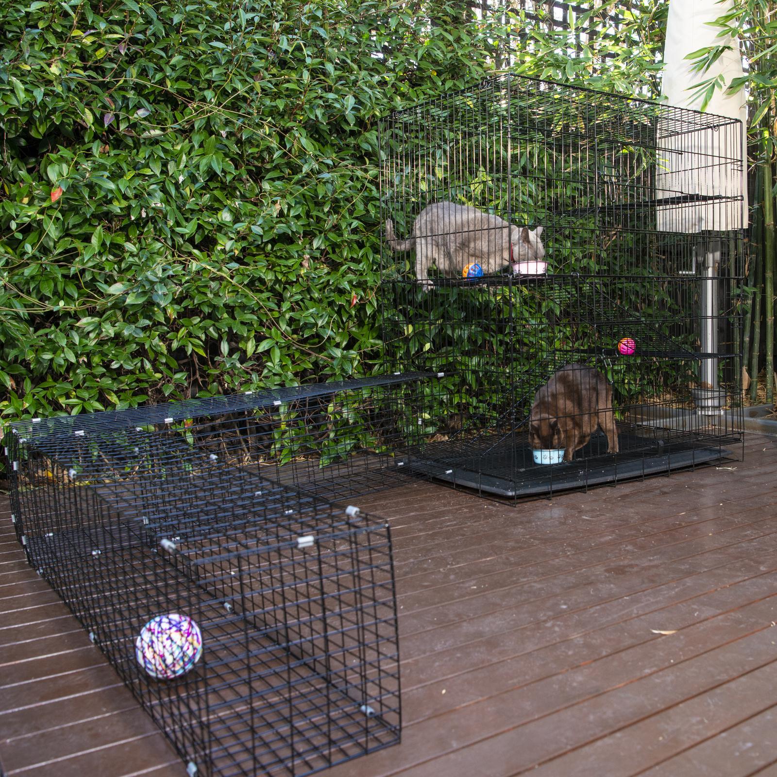 RapidMesh 122 x 106 x 73.5cm Cat Enclosure With Tunnel Bunnings Australia