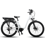 Smartmotion MidCity Small 24" Wheels White