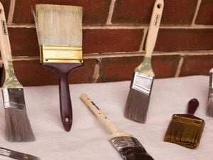 Clean paint brushes of different sizes is set out to dry