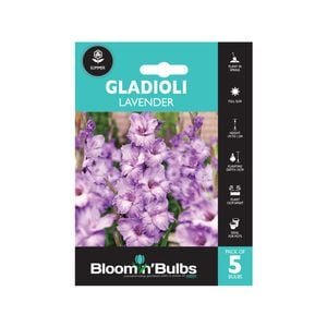 Bloomin' Bulbs Gladioli Lavender - Gladioli hybrid - 5 Pack