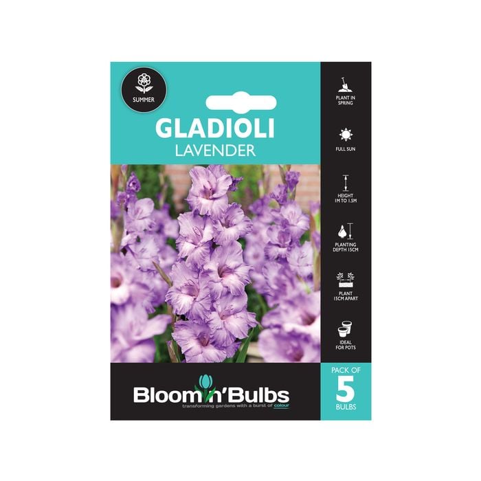 Bloomin' Bulbs Gladioli Lavender - Gladioli hybrid - 5 Pack