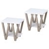 Familand 2 Piece Side Table Set in White