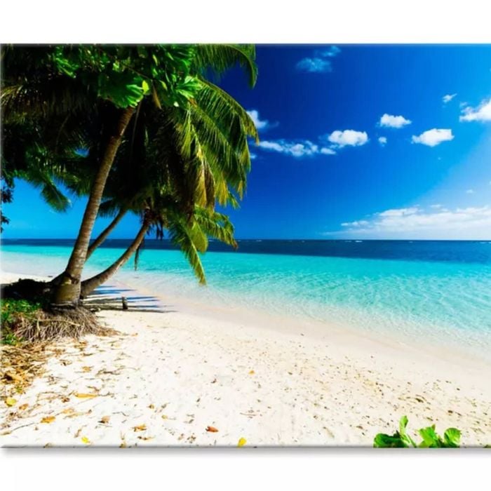 Palm Trees Ocean Beach Samoa  Print 100% Australian Made 120 x 90cm  (Stretched)