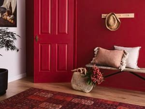 A feature wall in an entryway, painted in Taubmans Apple A Day