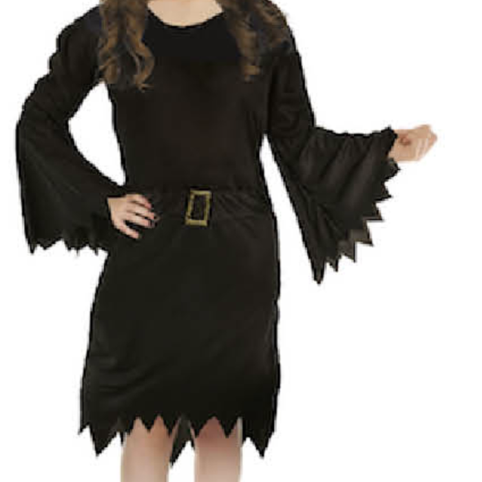 Children Classic Wicked Witch Costume Halloween Wicked Party Dress Up Black  10-12 Years Old