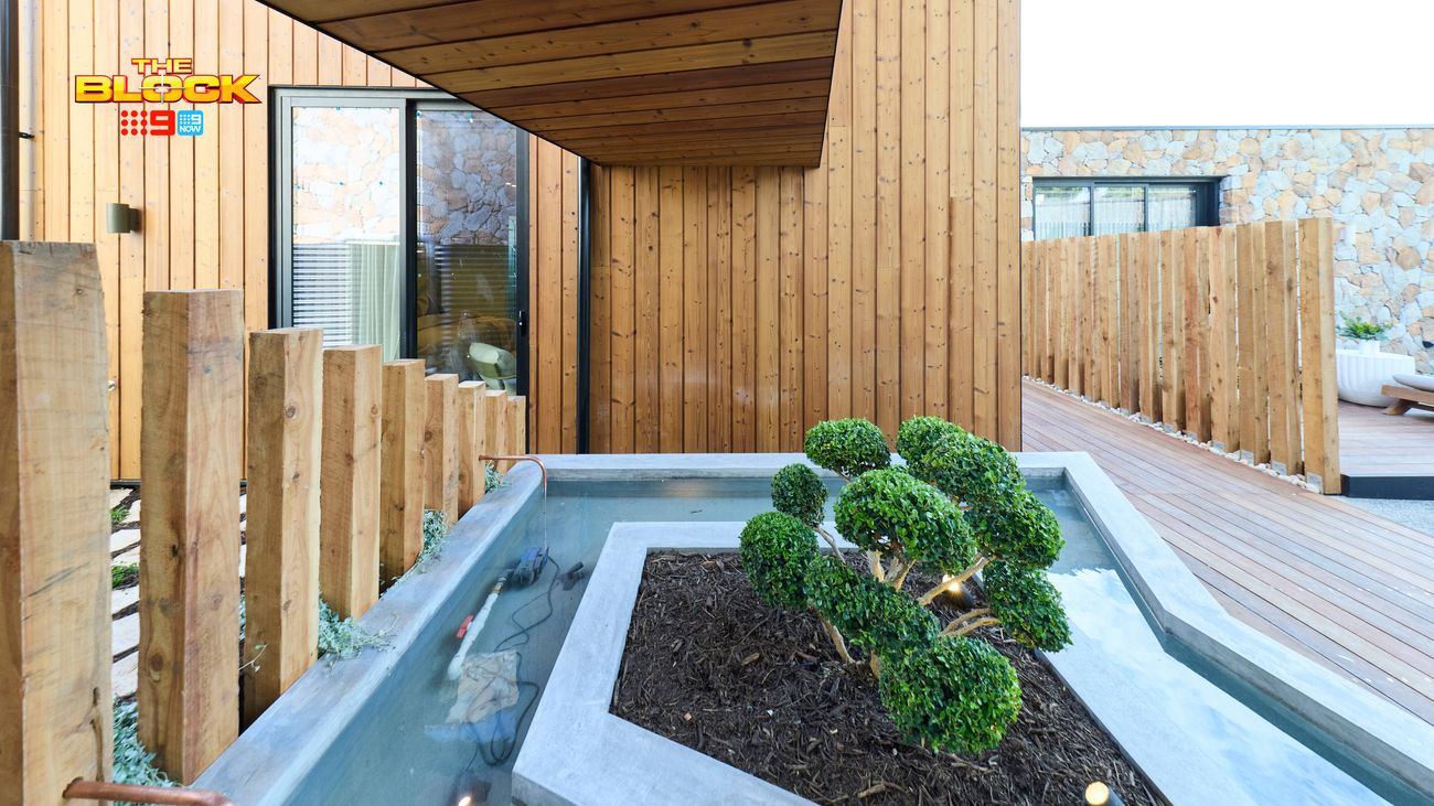 Modern outdoor courtyard featuring a raised garden bed with a sculpted green plant in it, surrounded by a shallow water feature, timber decking and vertical timber cladding.