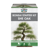 Fothergill's She Oak Bonsai Starter Kit