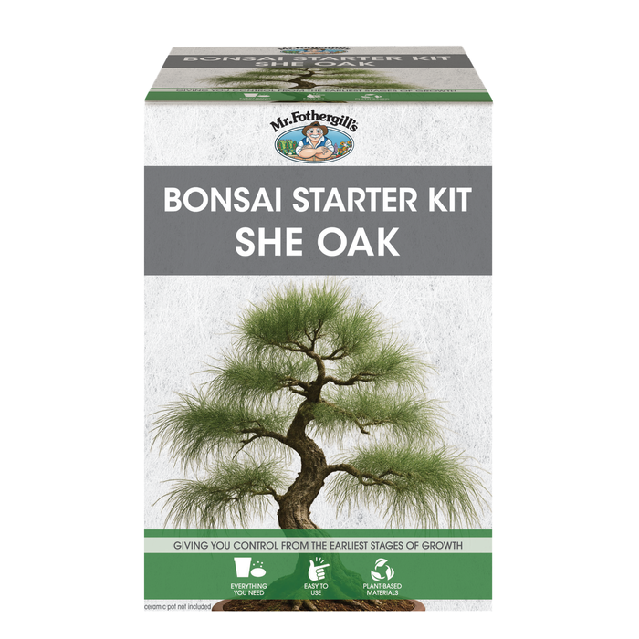 Fothergill's She Oak Bonsai Starter Kit