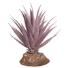 Reptile One Plant Mini Ionantha Red W/ Ceramic Base 14cm (46835)