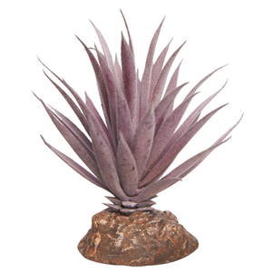 Reptile One Plant Mini Ionantha Red W/ Ceramic Base 14cm (46835)