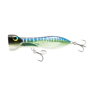 Nomad Design Chug Norris Popper 95mm 3.75 Fishing Lure SM Spanish Mackerel