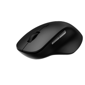 Rapoo M50 Plus Black Wireless Optical Mouse [m50plus]