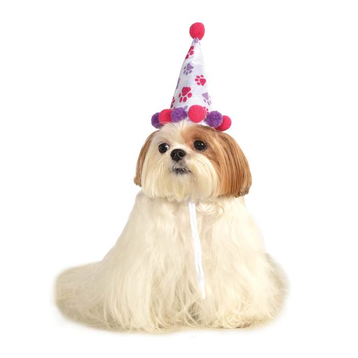Paw Print Birthday Hat - Pet Costume/accessories For Dogs - Size Small-medium