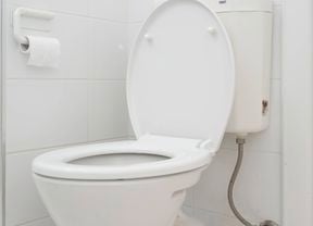 A toilet with a new seat and wall-mounted toilet paper holder. 