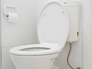 A toilet with a new seat and wall-mounted toilet paper holder. 