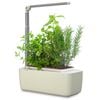 Mr Fothergill’s HydroGarden Classic Plus Hydroponic Grow Kit