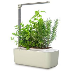 Mr Fothergill’s HydroGarden Classic Plus Hydroponic Grow Kit