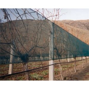 Coolaroo Windbreak Plus 1.83 x 1m per mtr Green