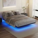 Advwin Floating Bed Frame Queen Size with LED Lights Metal Platform