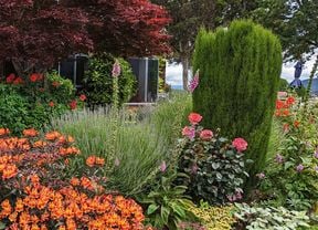 A vibrant autumn garden in full colour, featuring orange flowering shrubs, pink and yellow flowers, ornamental grasses, and a red-leaved tree in front of a house.